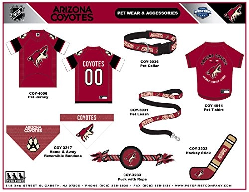 Arizona Coyotes Collar - Small Dogs & Cats