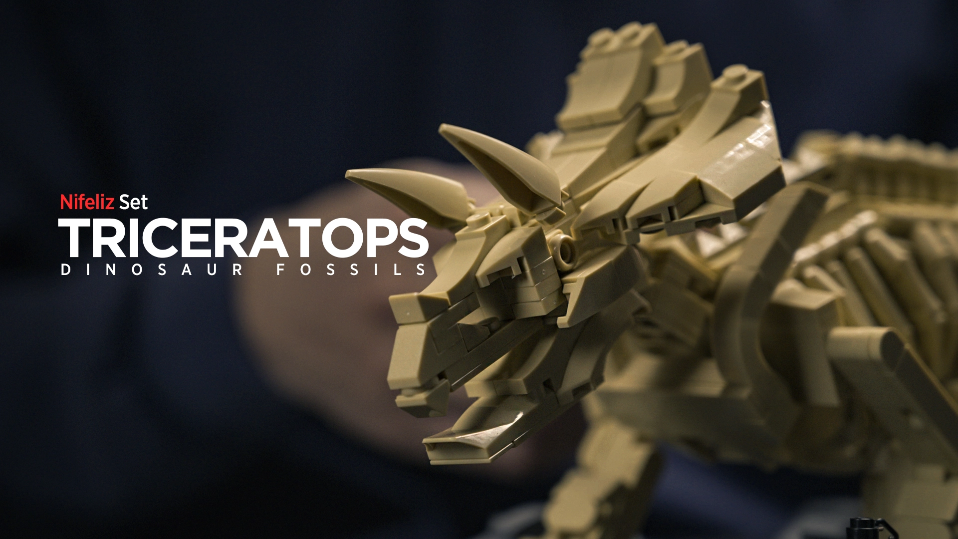 Triceratops Fossil Model Set