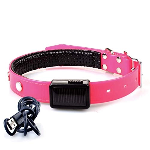 Pet Collar - Charging ( L) Dog
