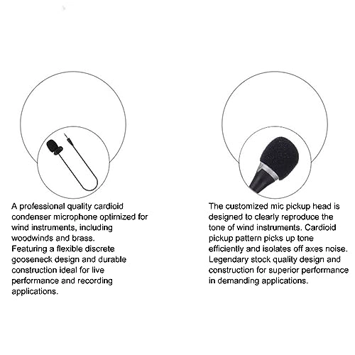 qfv25wa1c7 USB Microphone