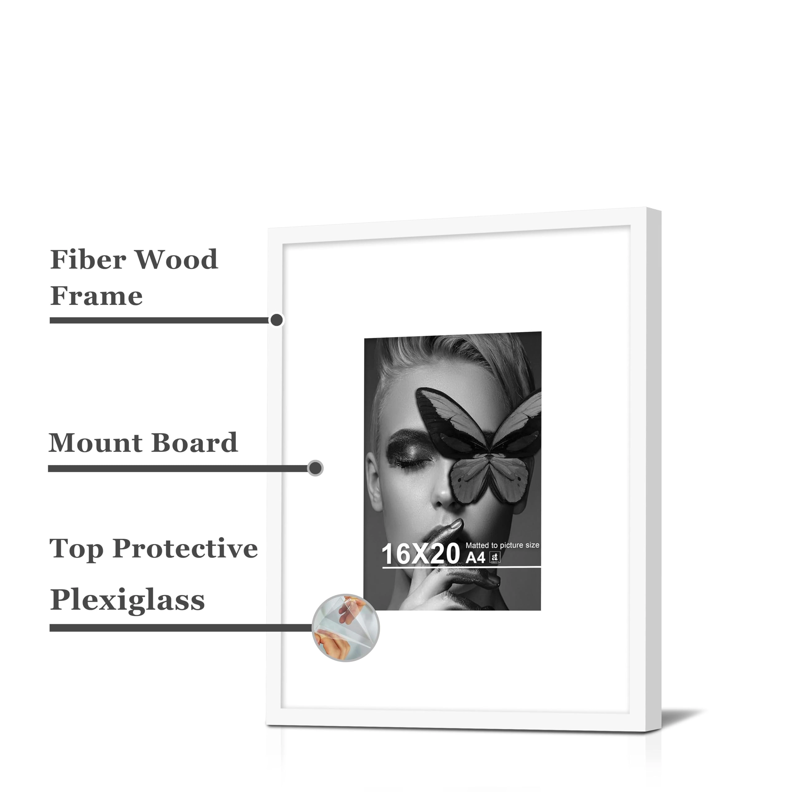 Document Frame - 16x20 Inch