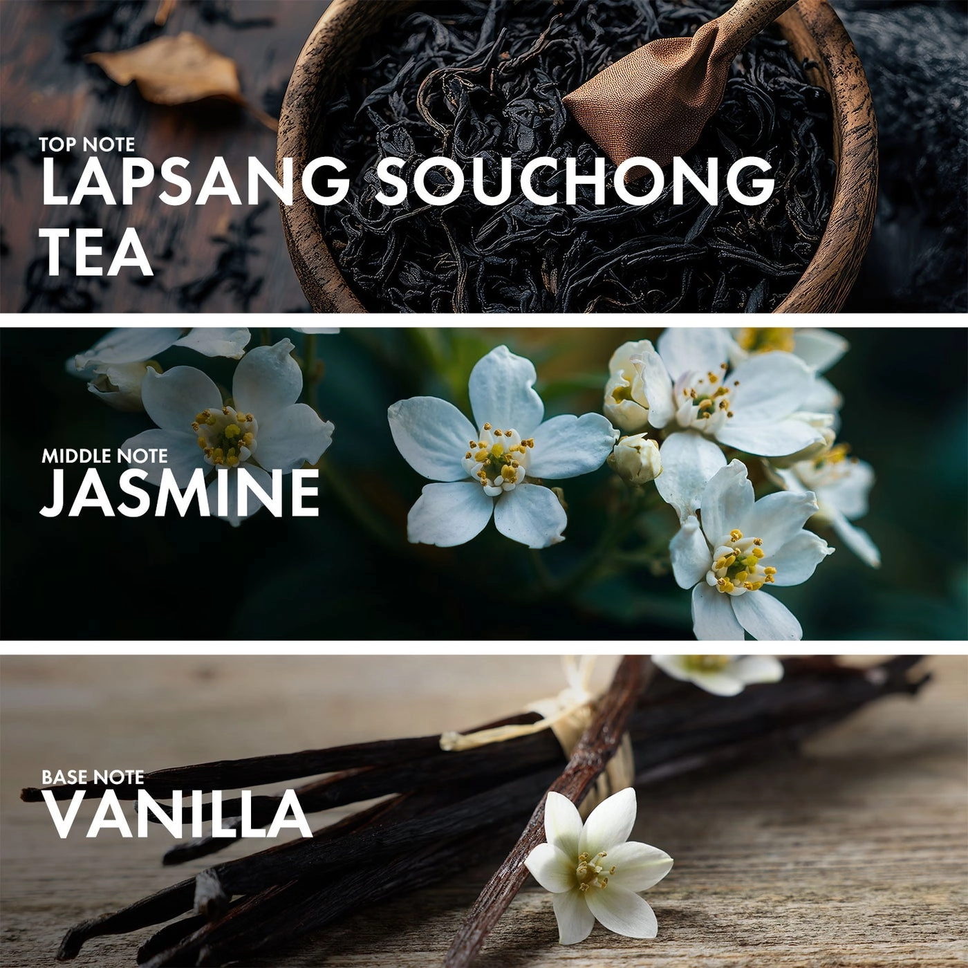 Blossom Vanilla Eau de Parfum 50 ml