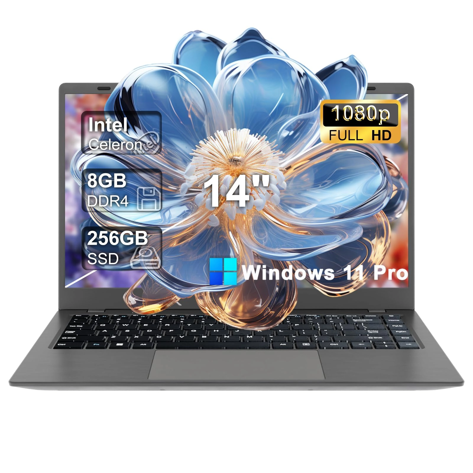 Gina Joyfurno 14 Celeron Laptop - 14'' 256GB 8GB Celeron N4000