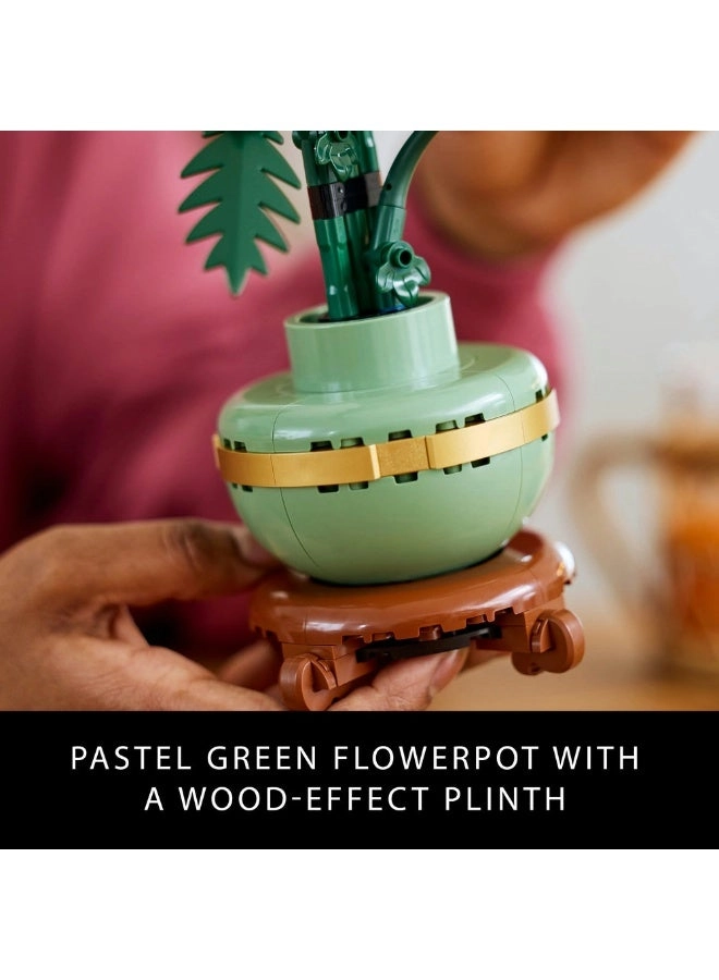 Icons Chrysanthemum (10368)