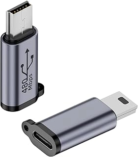 QIANRENON Mini USB Male to USB C Female Adaptor