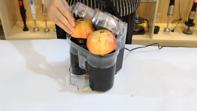Dual-head Citrus Juicer - 80 watts
