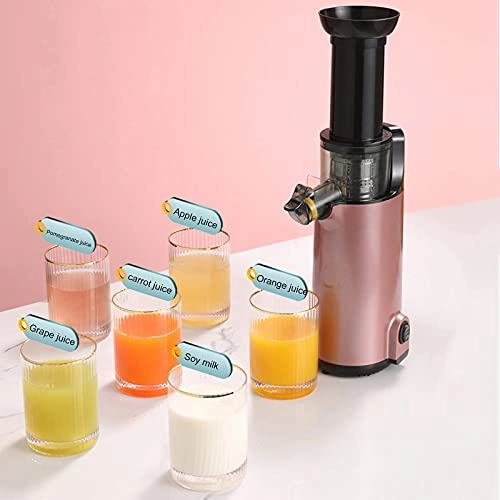 Masticating Juicer - 150 Watts 1500 Milliliters