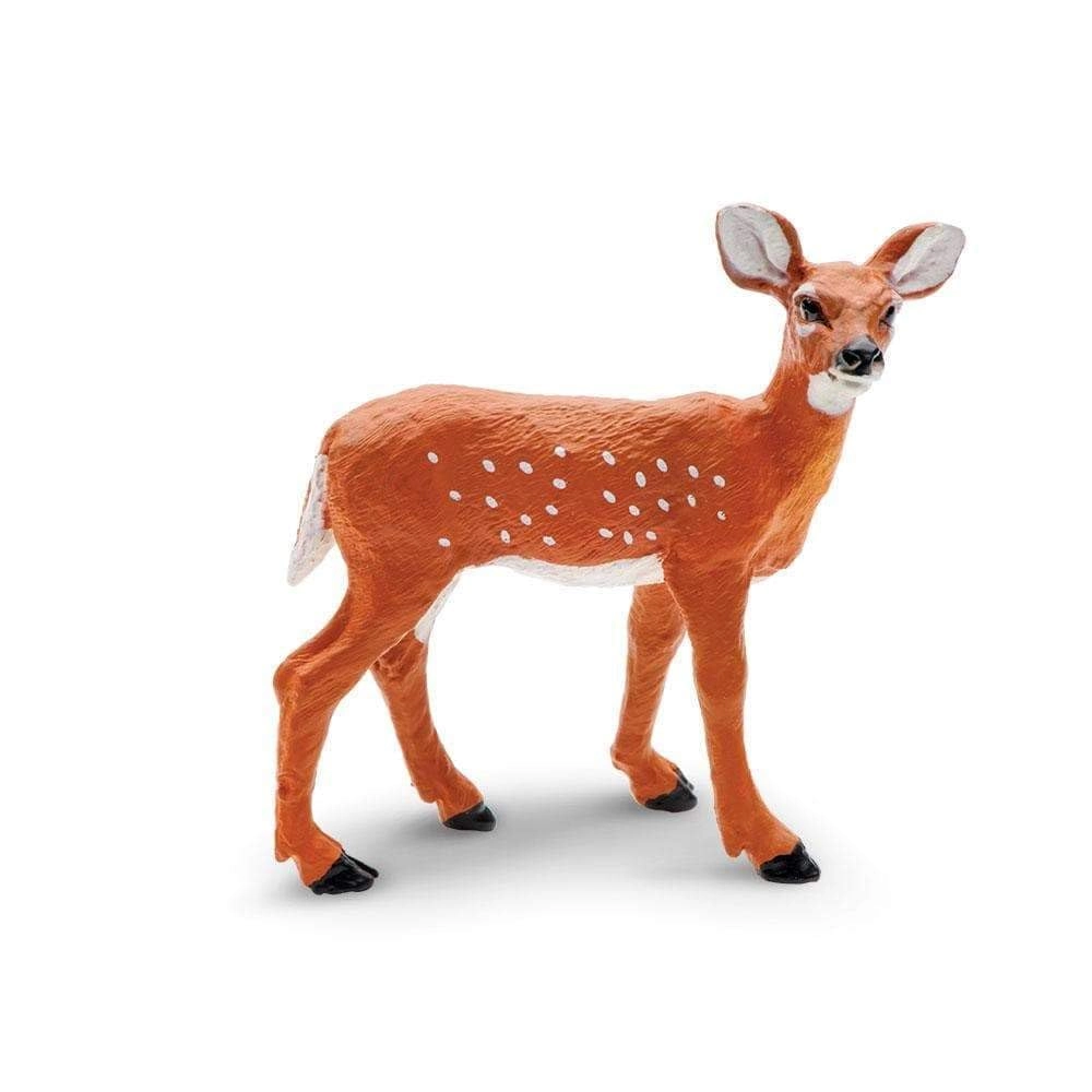 Whitetail Fawn - 3 yr(s)