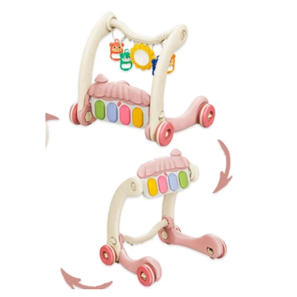 Daisy - 3-In-1 Baby Walker