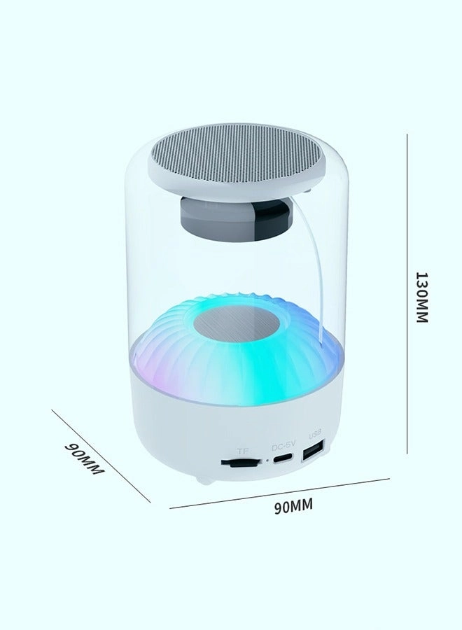 Bluetooth Speaker - Type-C