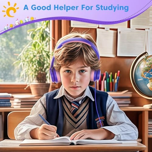 BH123A Wired Headphone