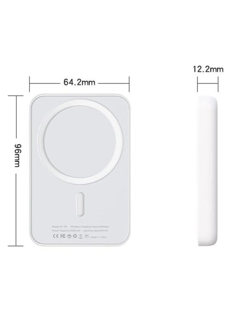 YP29 - 5000mAh Qi USB-C