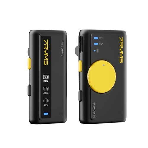 iRay DW10 - 1 Receiver 1 Microphone