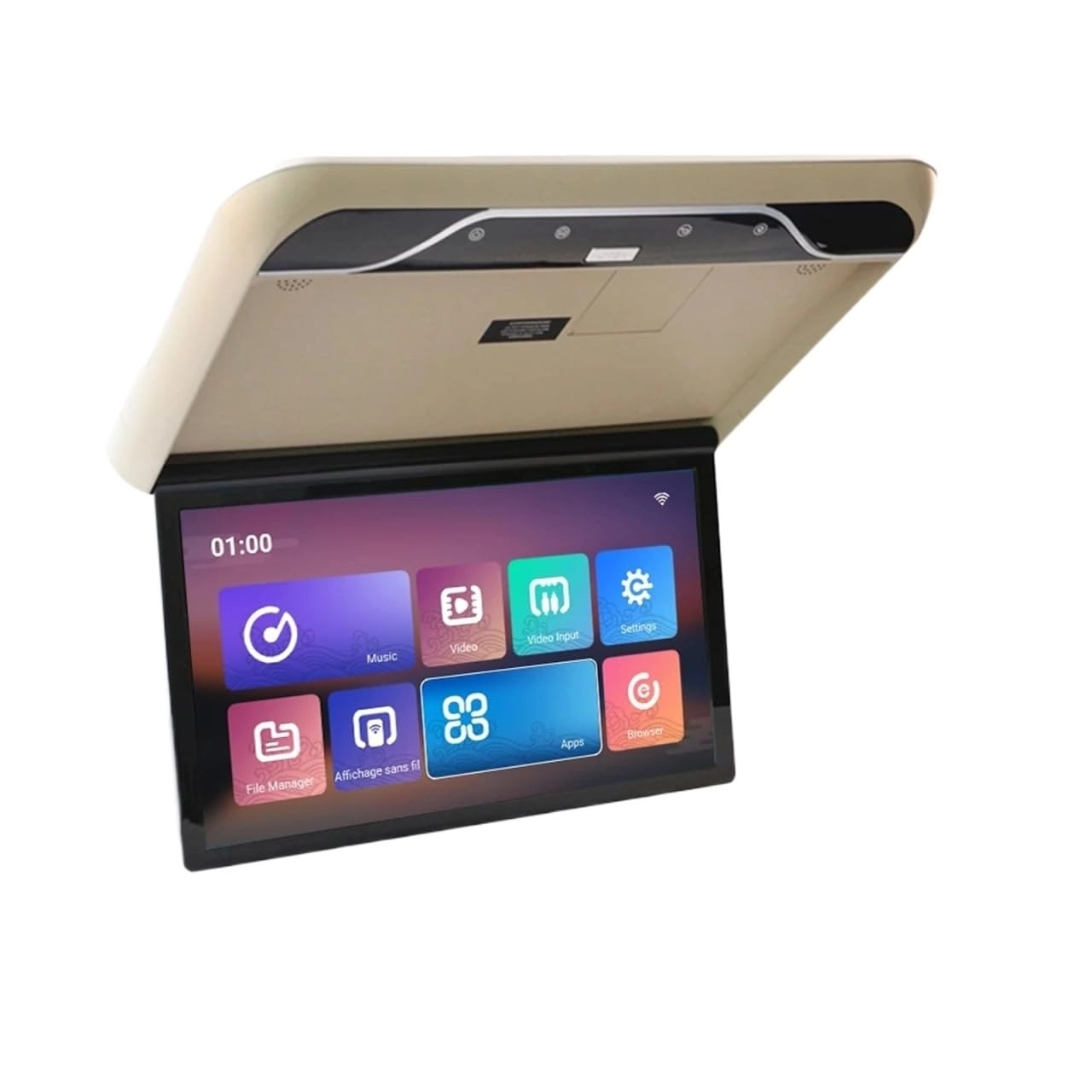 Roofmount LCD Monitor - 19in