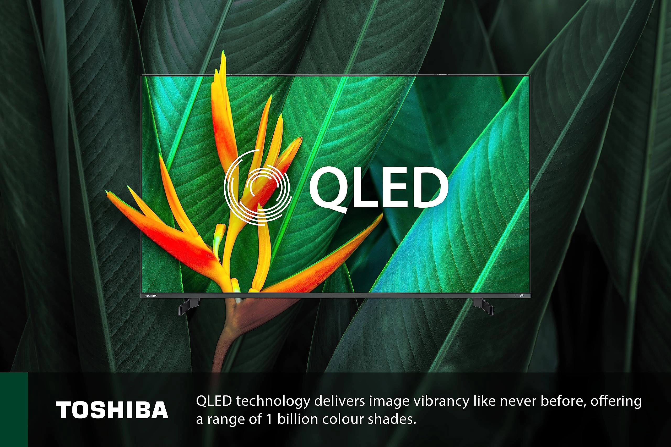 55QF5D53DB - 55 Inch
