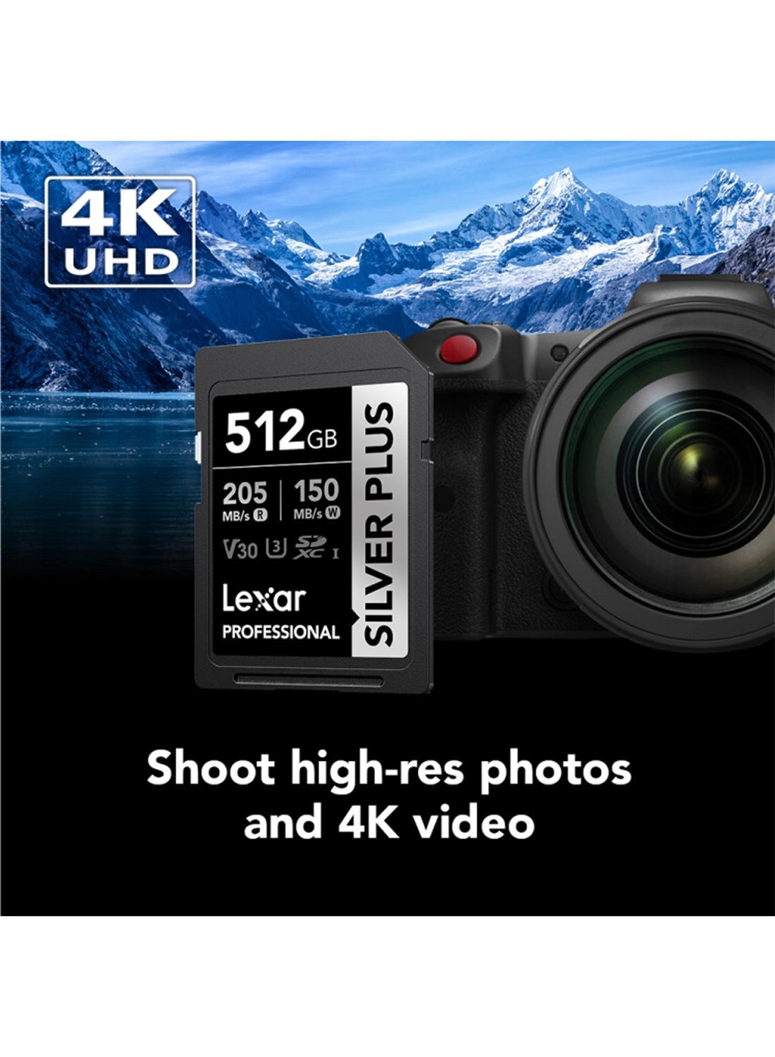 Professional SILVER PLUS SDXC U3 256GB