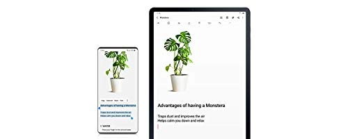 Galaxy Tab S7+ - 256GB 12.4"