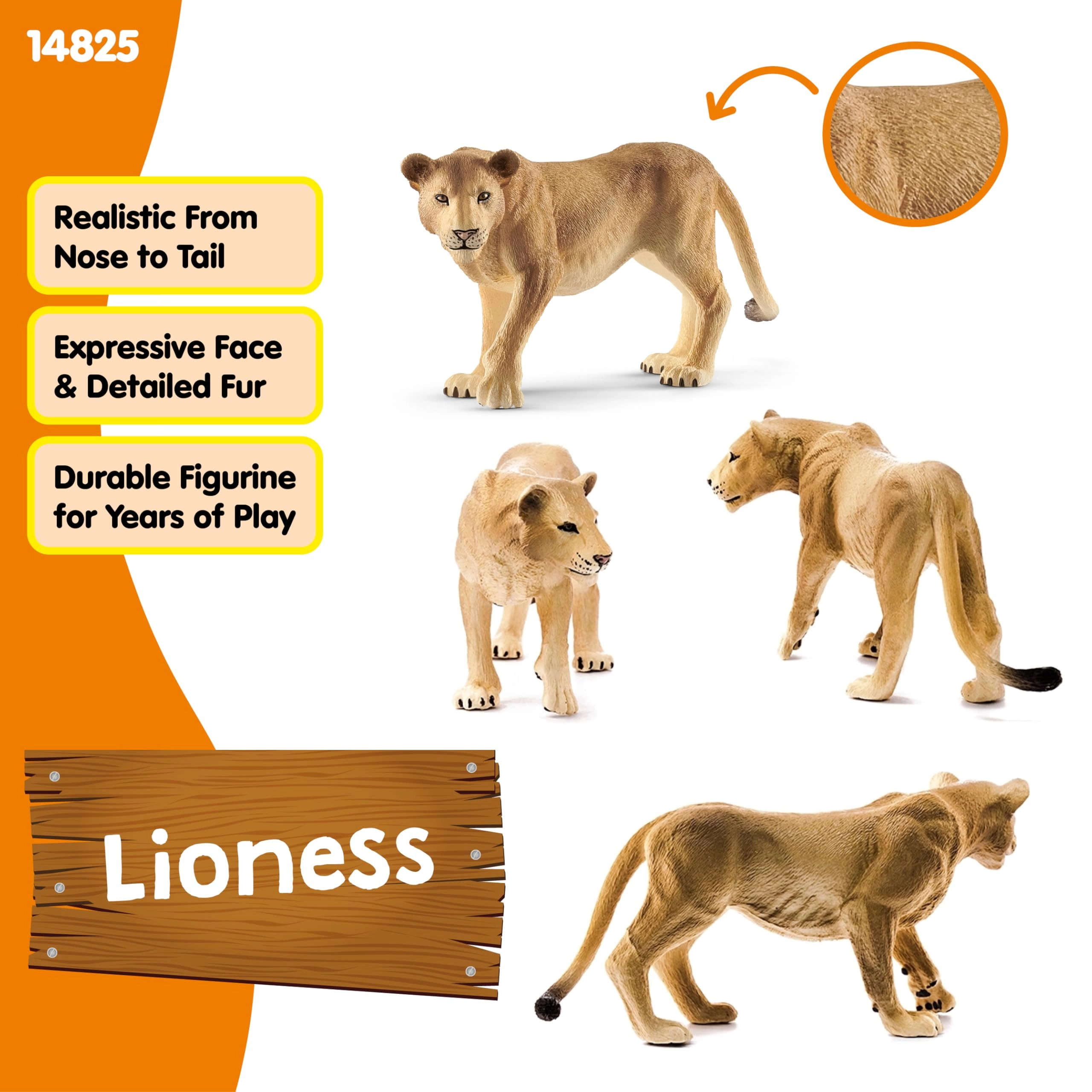 Lioness - 3 years and up Animal 1
