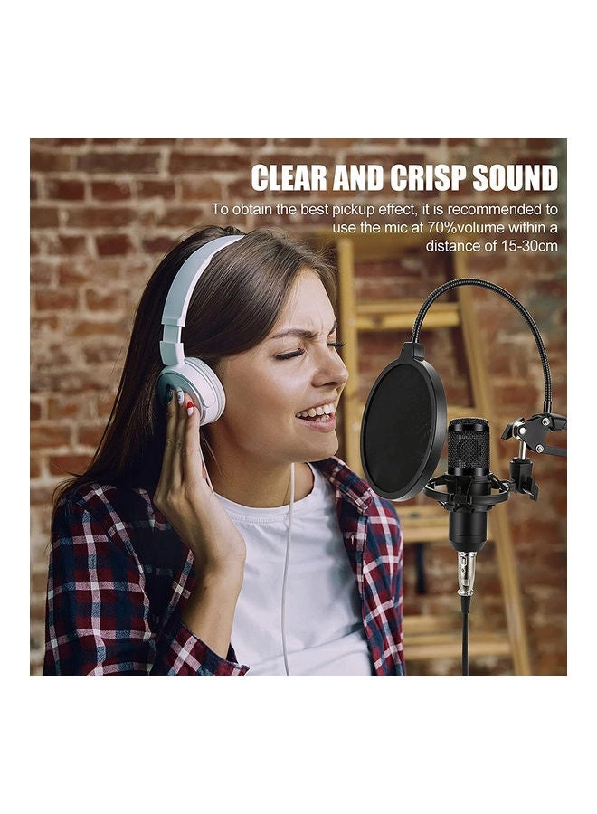 BM-800 + Live Sound Card Wired Microphone