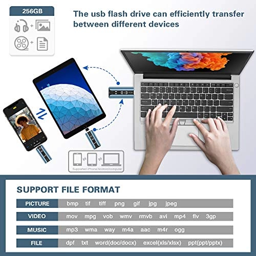 Flash Drive - for iPhone 256GB