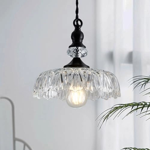 Plug in Glass Pendant Light - E26 60W