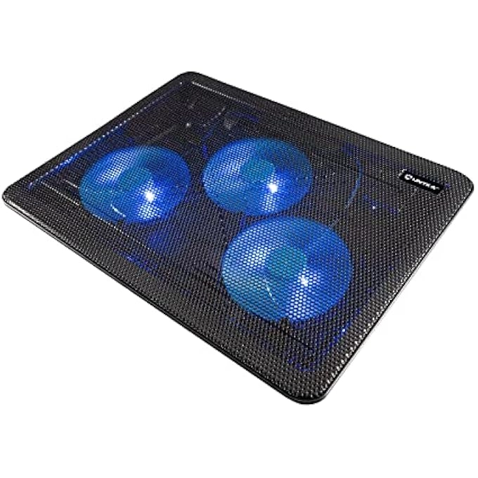 rayihni C300 - THREE 15"