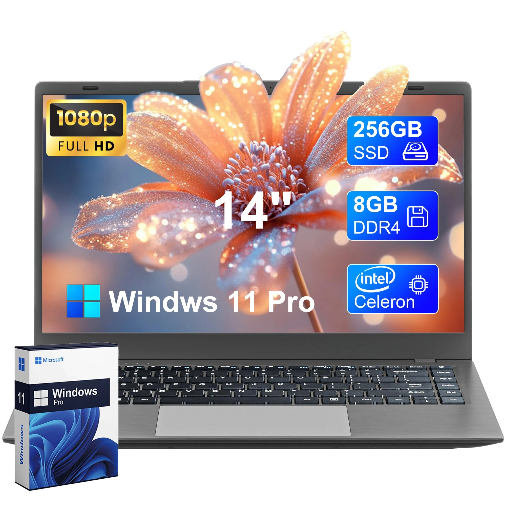 14 Celeron Laptop - 14'' 256GB 8GB Celeron N4000