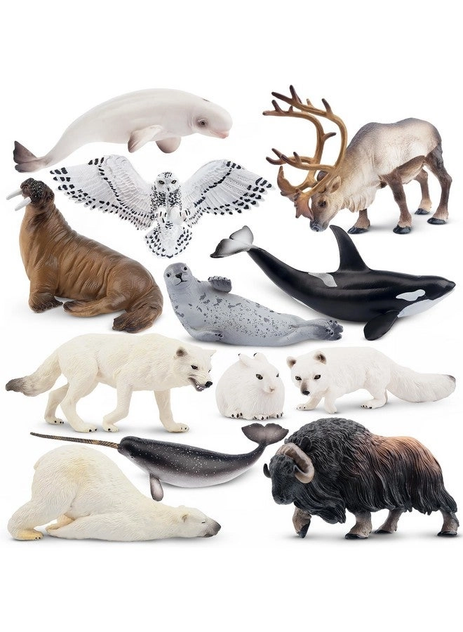 TOYMANY Polar Animals Figurines - Polar Bear Caribou Whales Walrus 12pcs 4-7"