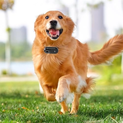 Body Worn Camera - 1920 X 1080