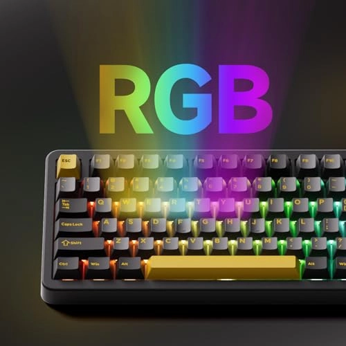 TAC87 - Wired/Wireless