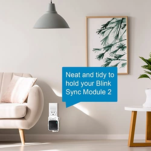 Blink USB Flash Drive - 256GB USB 3.0 + Outlet Wall Mount - Blink Sync Module 2