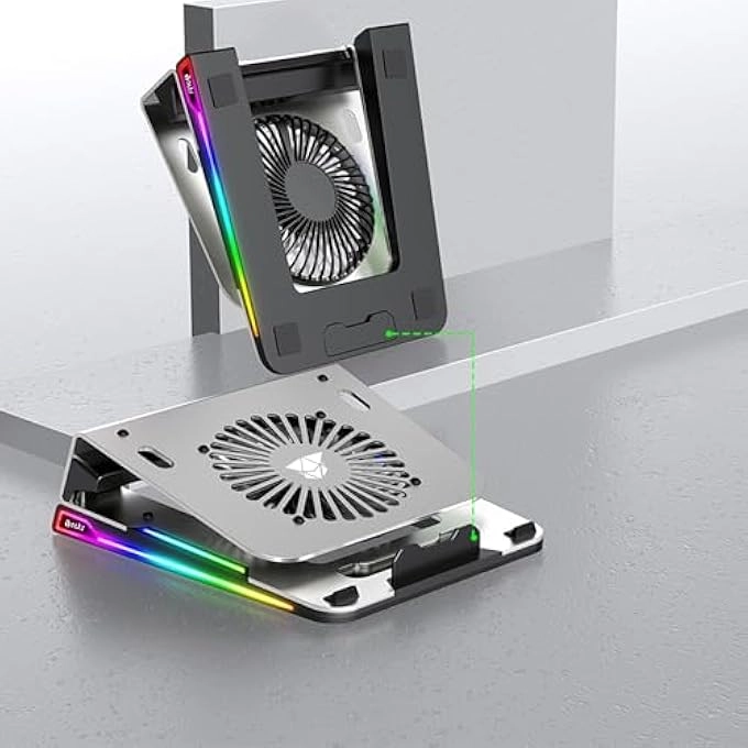 C11 - 6 15.6-17.3 INCH