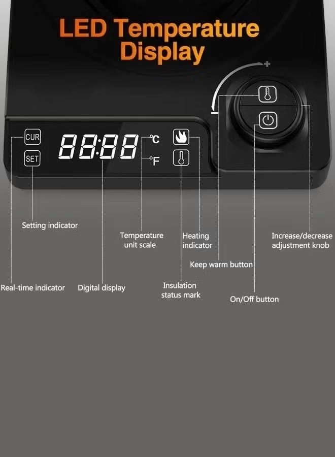 Gooseneck Electric Kettle