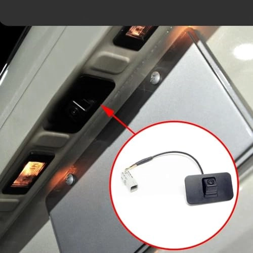 23378804 - Night vision