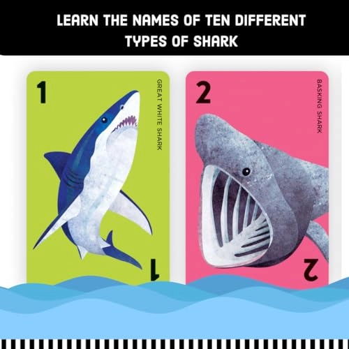 Go Shark! - Card Game