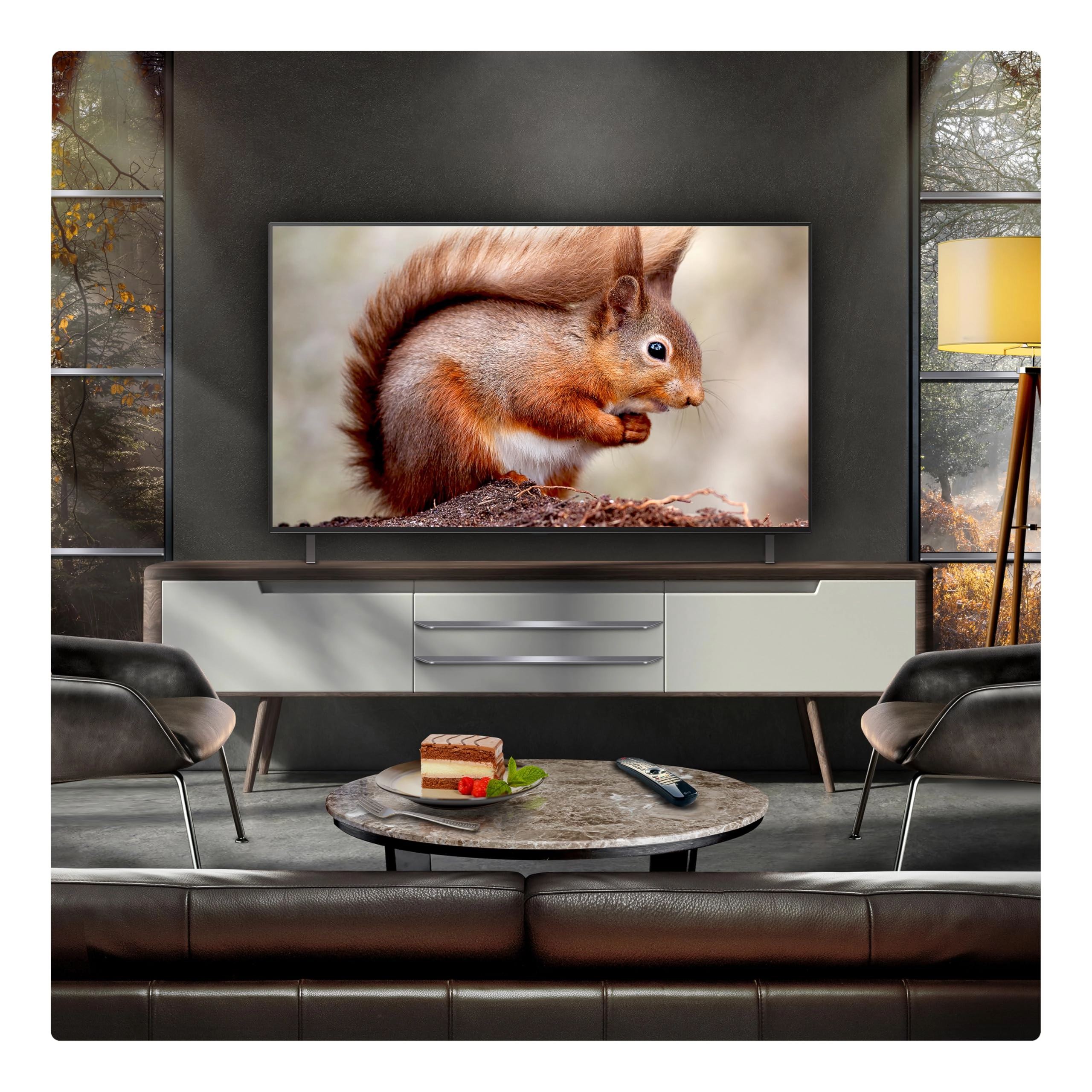 OLED55B56LA - 55-Inch + X02