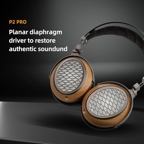 P2 PRO Wired Headphone