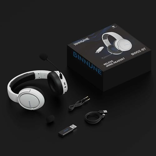 BW02-BT Wireless Headset