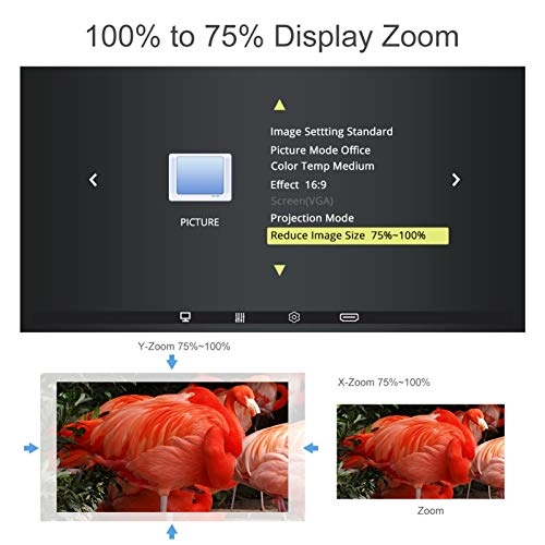LED video micro projector