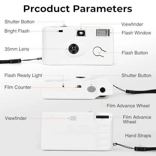 Disposable Camera - 12 Pack 35mm 17 Exposures 200 ISO