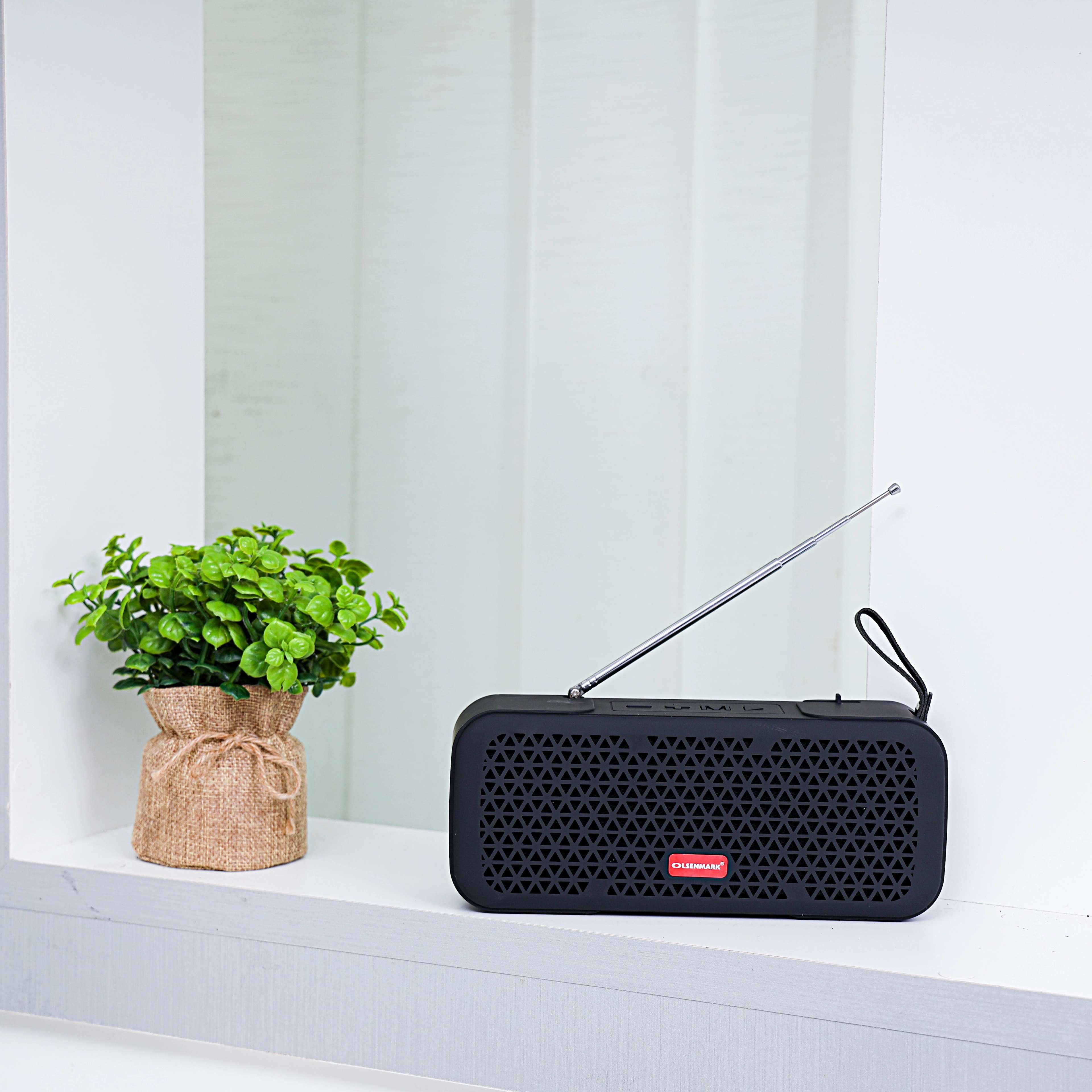 Olsenmark Middle East L.L.C Portable Wireless Speaker
