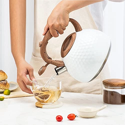 Whistling Kettle - 2.8L