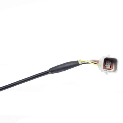 23378804 - Night vision