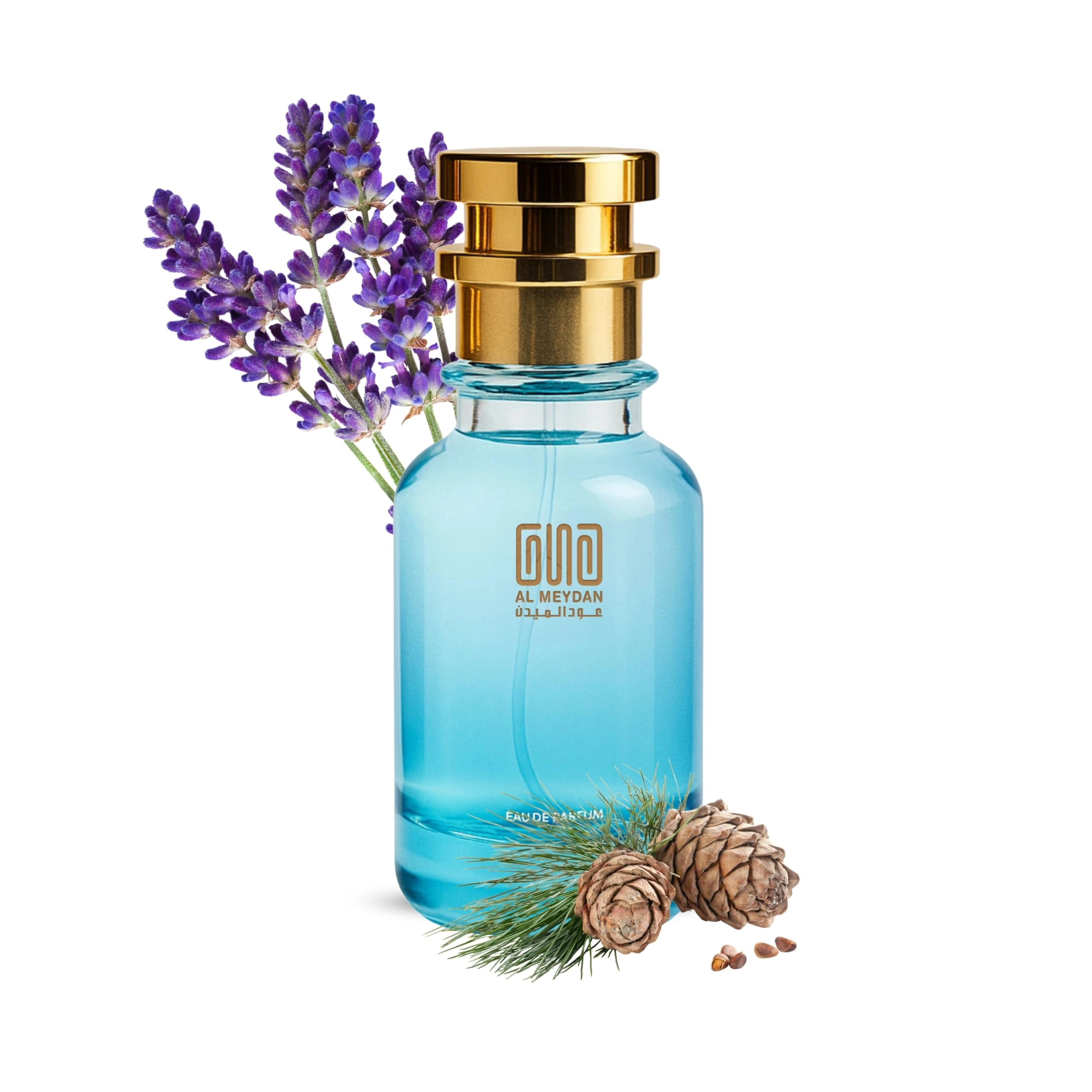 Oil-Based Perfume for Men - 100 ML