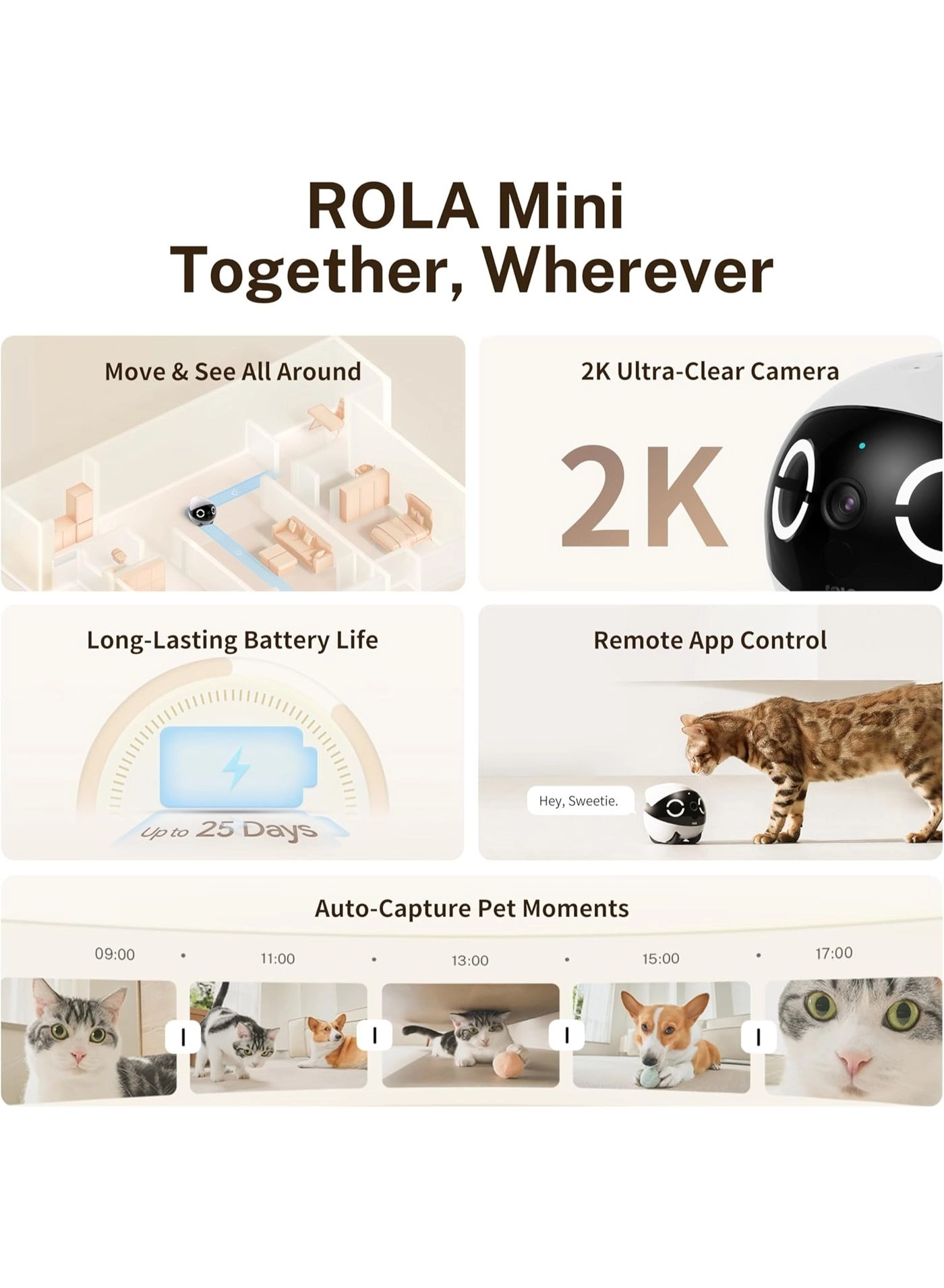 ROLA Mini