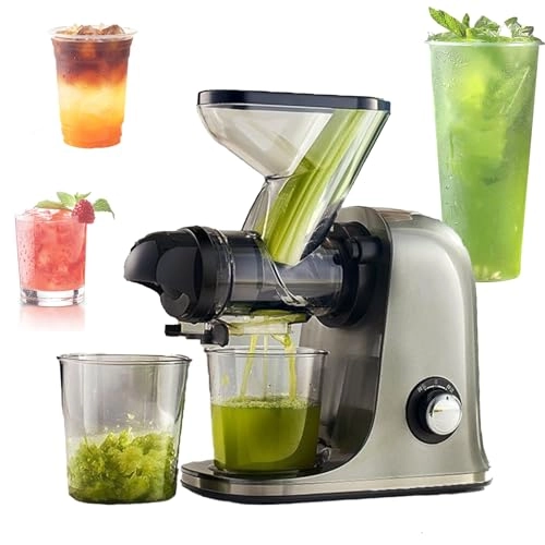 Cold Press Juicer - 100W