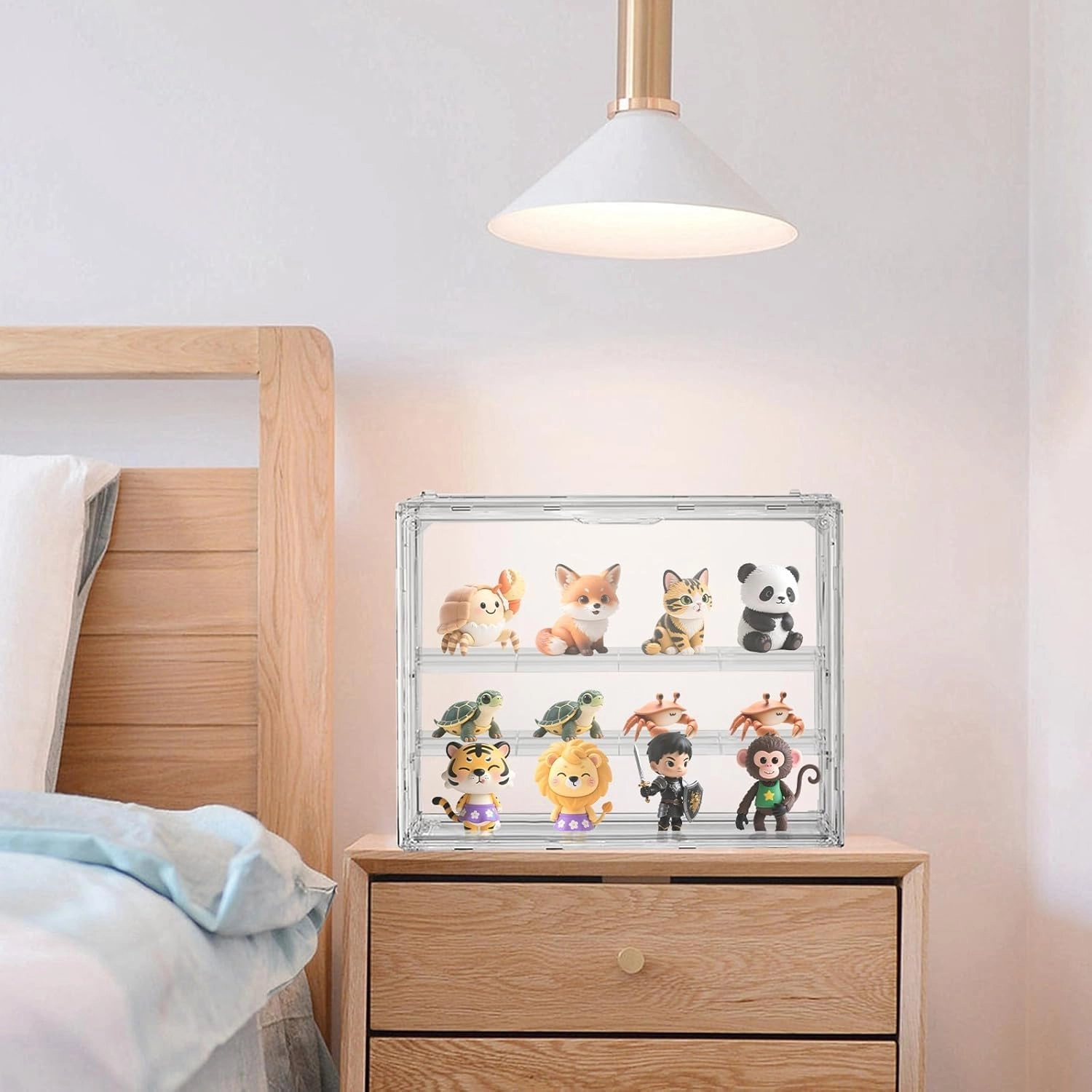 Acrylic Display Case