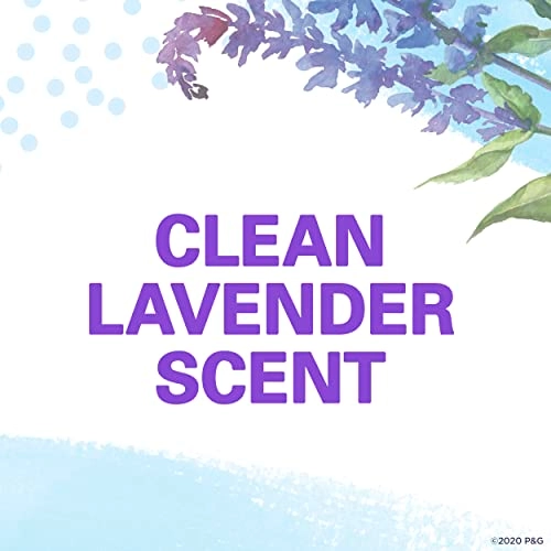 Ph Balanced Invisible Solid Clean Stick - Lavender 73.94 gram