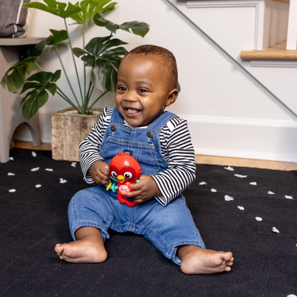 Roxy's Bright Flight Musical Toy - 3 months