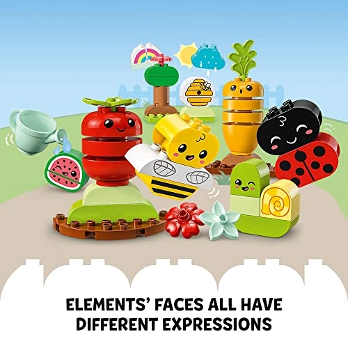 My First Organic Garden (10984)